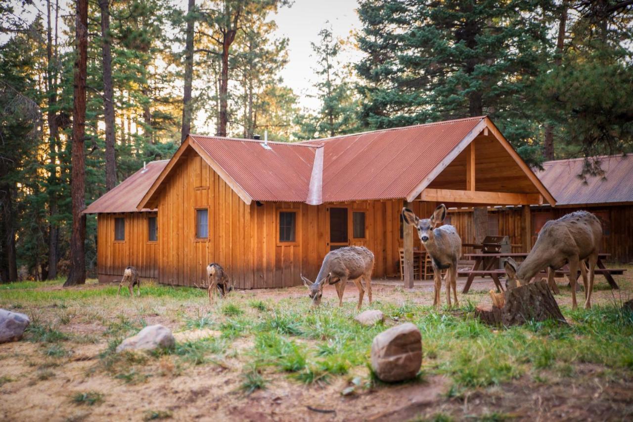 Corkins Lodge Chama Εξωτερικό φωτογραφία